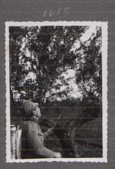ARSIAL/ARS0017569C.jpg