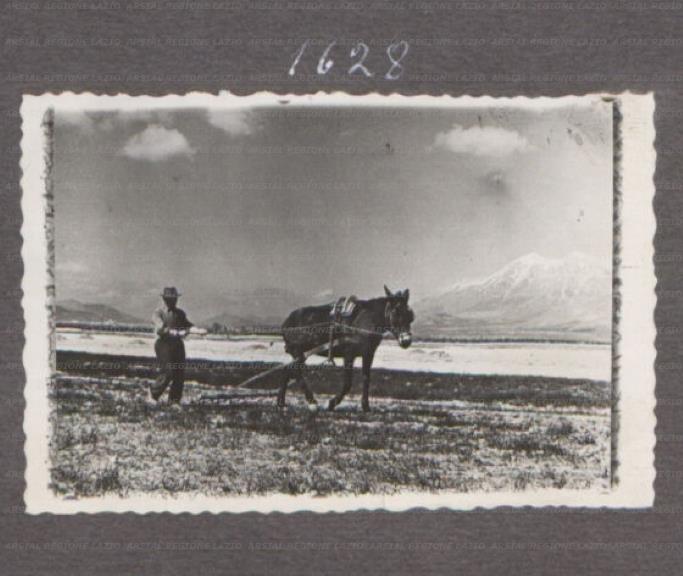 ARSIAL/ARS001756B9.jpg