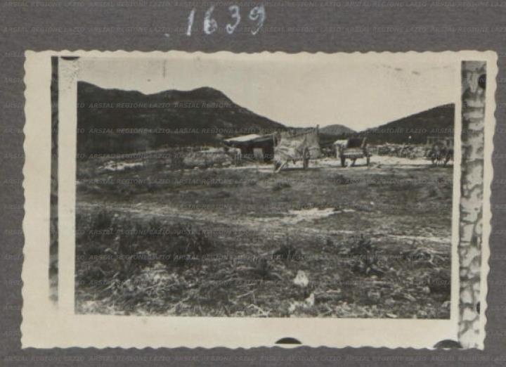 ARSIAL/ARS001756D3.jpg