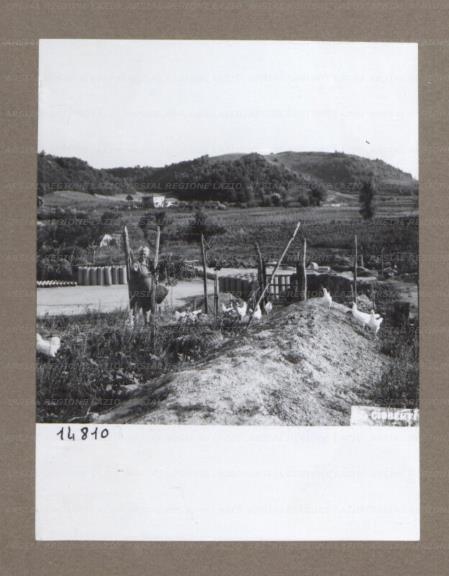 ARSIAL/ARS001756E9.jpg