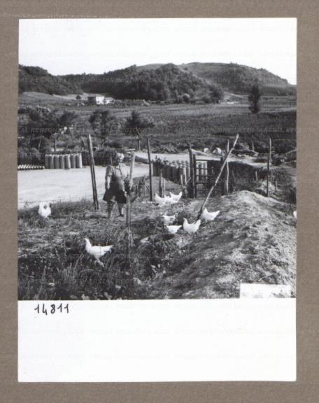 ARSIAL/ARS00175714.jpg