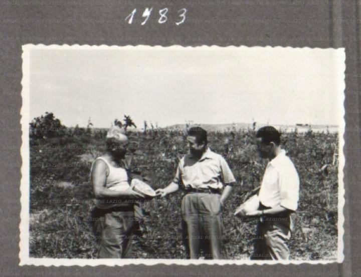 ARSIAL/ARS00175768.jpg