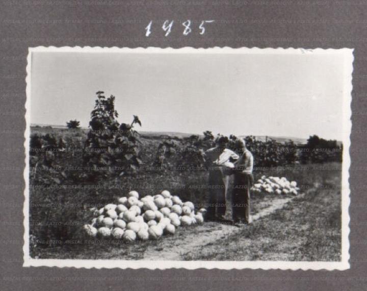 ARSIAL/ARS0017576F.jpg