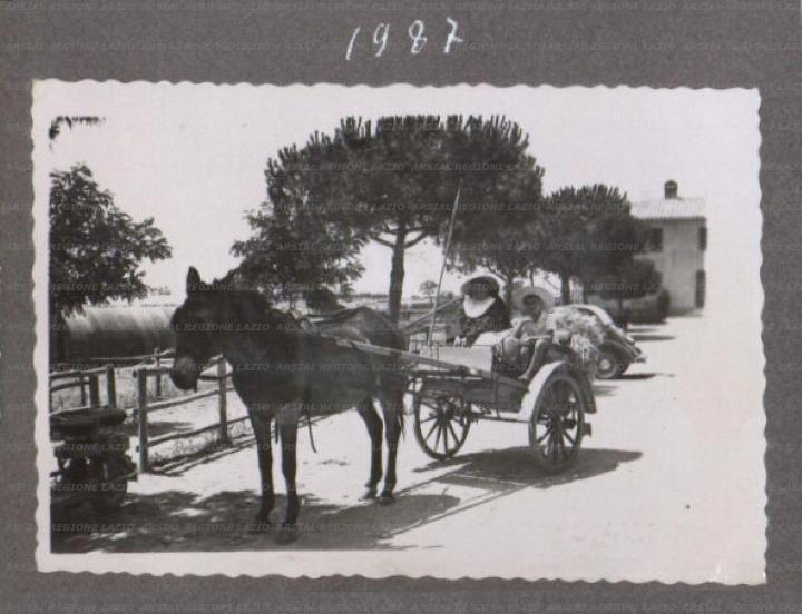 ARSIAL/ARS00175774.jpg