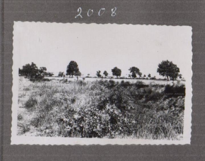 ARSIAL/ARS00175781.jpg