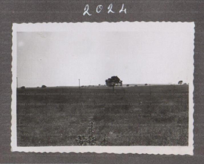 ARSIAL/ARS001757BC.jpg