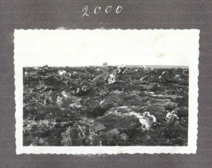 ARSIAL/ARS001757CA.jpg