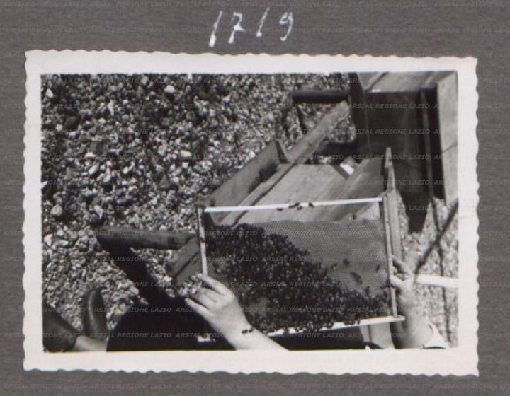 ARSIAL/ARS001757D1.jpg