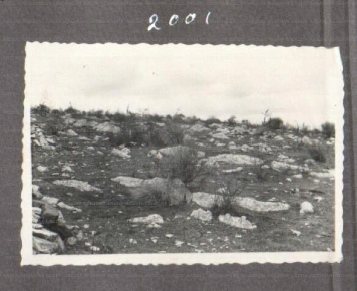 ARSIAL/ARS00175816.jpg