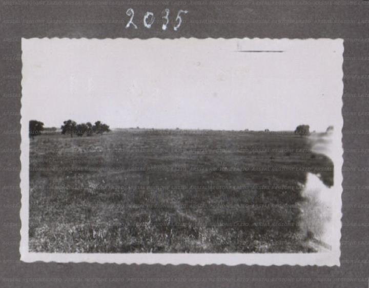 ARSIAL/ARS00175883.jpg
