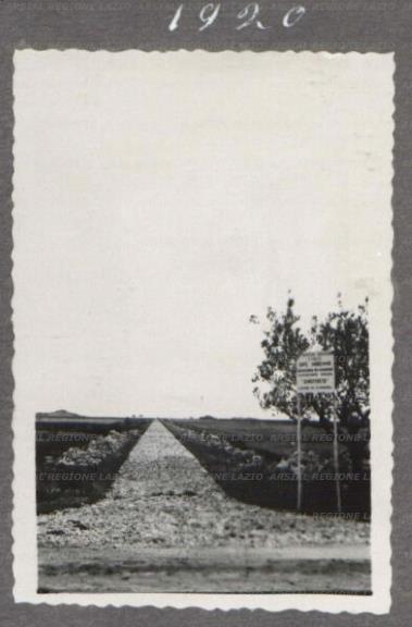 ARSIAL/ARS00175972.jpg