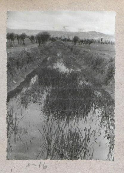 ARSIAL/ARS00175A1E.jpg