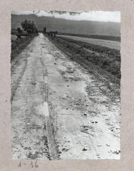 ARSIAL/ARS00175AF2.jpg