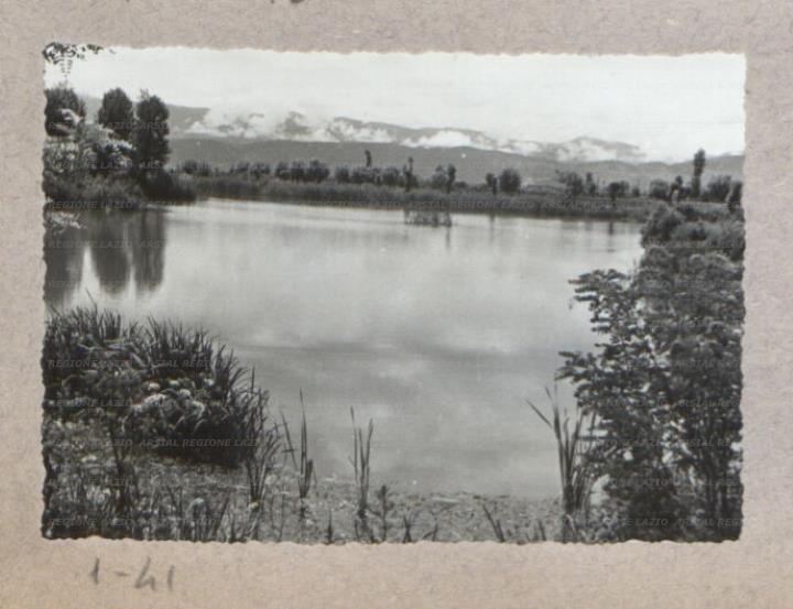 ARSIAL/ARS00175B41.jpg