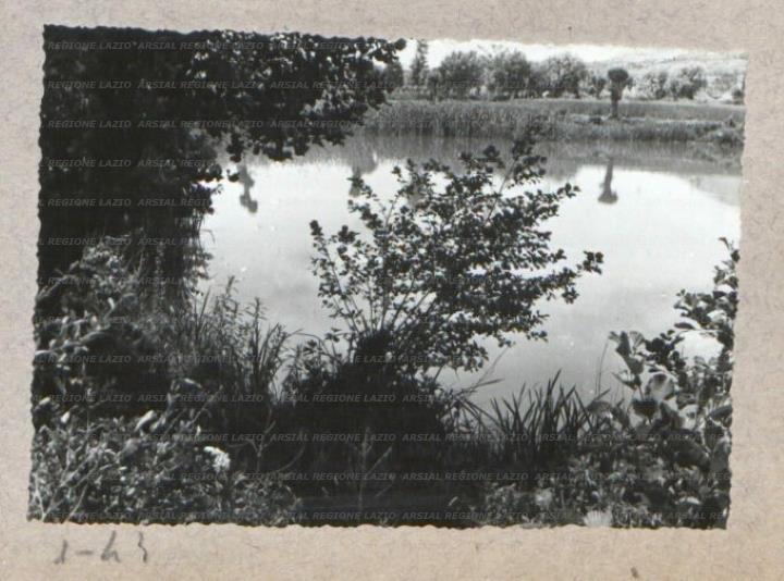 ARSIAL/ARS00175B4C.jpg