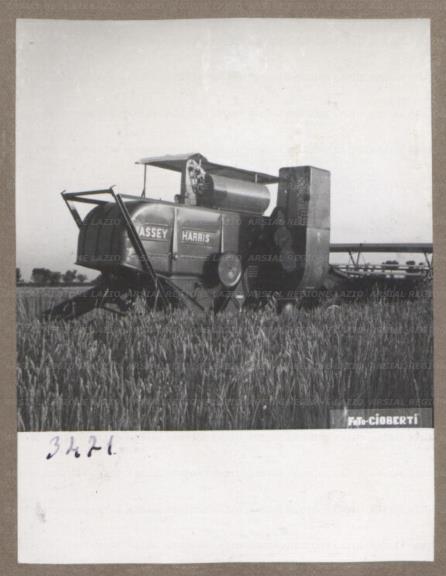 ARSIAL/ARS00175B8E.jpg