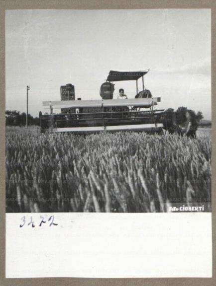 ARSIAL/ARS00175B97.jpg