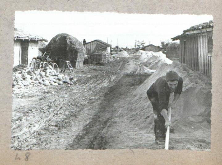 ARSIAL/ARS00175BC6.jpg