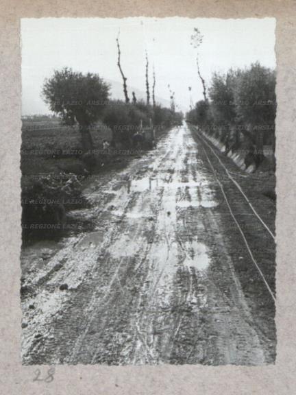 ARSIAL/ARS00175BC9.jpg