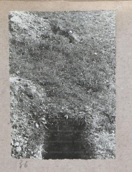 ARSIAL/ARS00175BCE.jpg