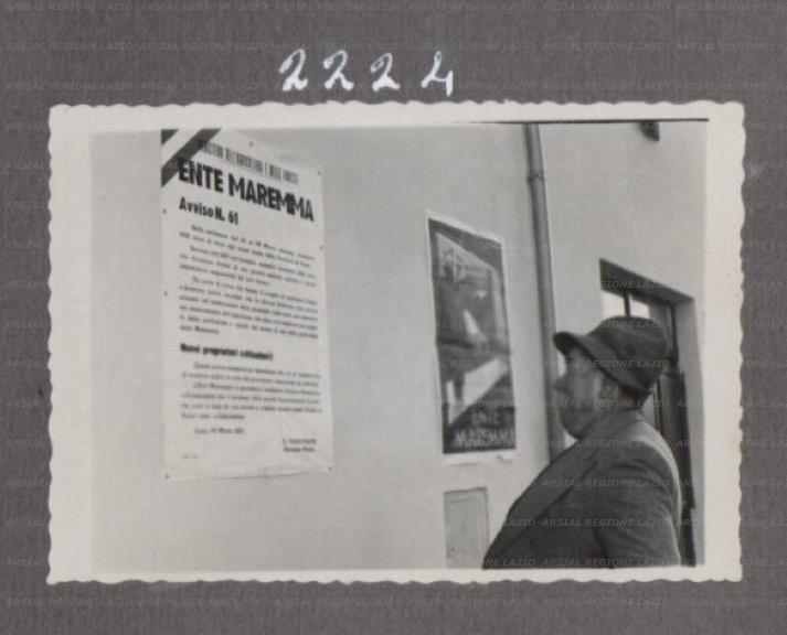 ARSIAL/ARS00175BF5.jpg