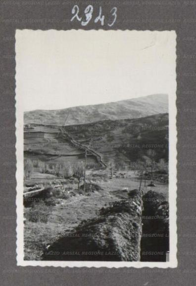 ARSIAL/ARS00175C88.jpg