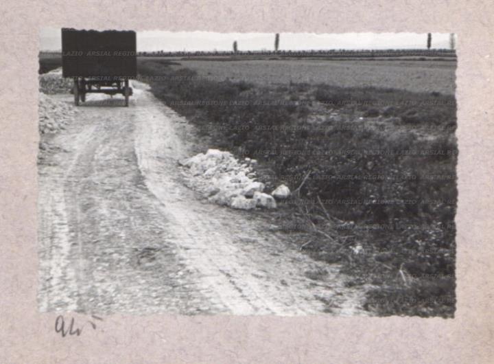 ARSIAL/ARS00175C89.jpg