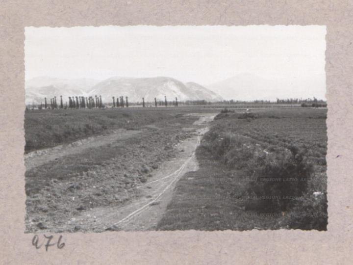 ARSIAL/ARS00175CD9.jpg