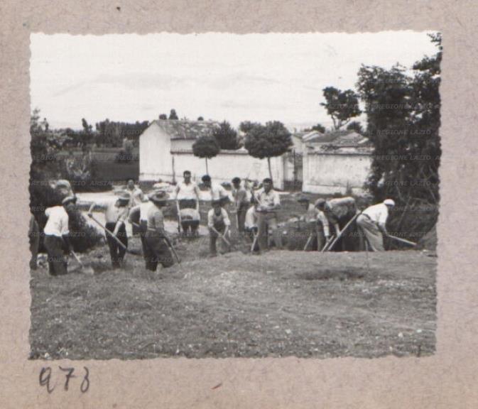 ARSIAL/ARS00175CDE.jpg