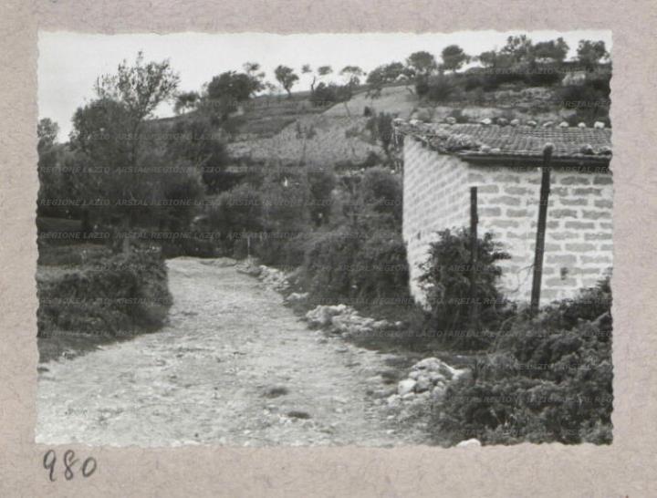 ARSIAL/ARS00175CE6.jpg