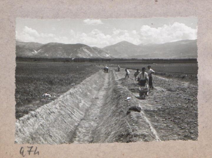 ARSIAL/ARS00175CE9.jpg