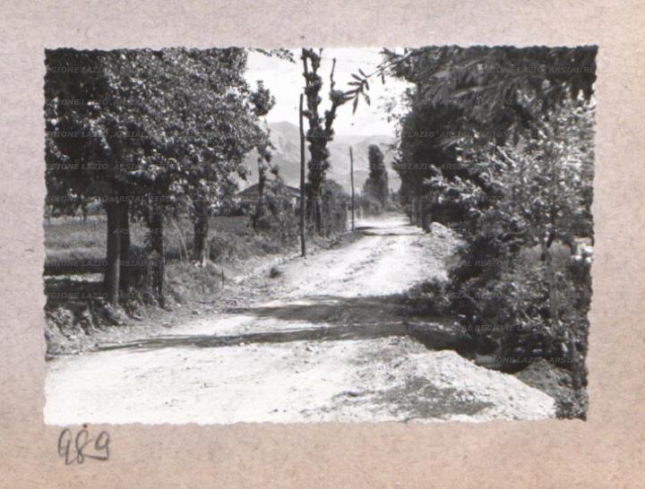 ARSIAL/ARS00175CEC.jpg