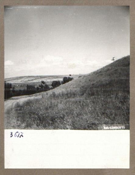 ARSIAL/ARS00175CF2.jpg
