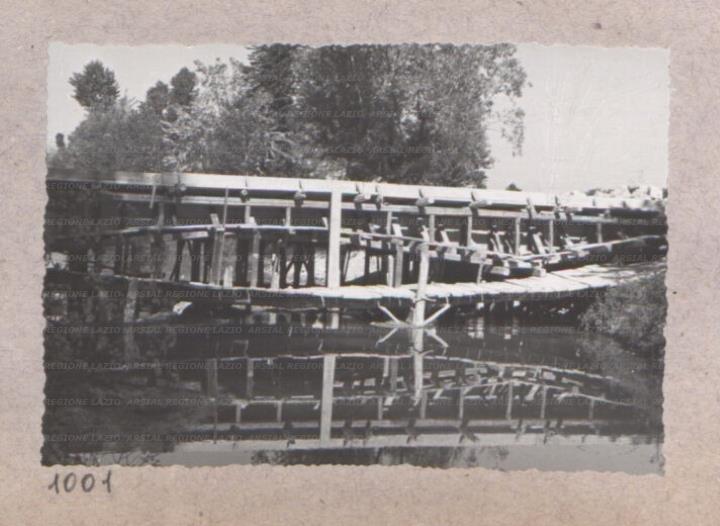 ARSIAL/ARS00175D15.jpg