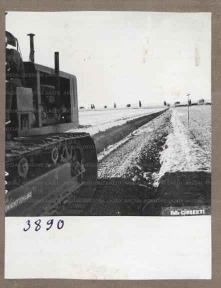 ARSIAL/ARS00175D45.jpg
