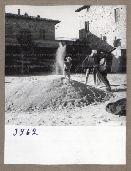 ARSIAL/ARS00175D49.jpg