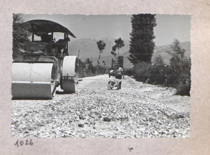 ARSIAL/ARS00175D65.jpg