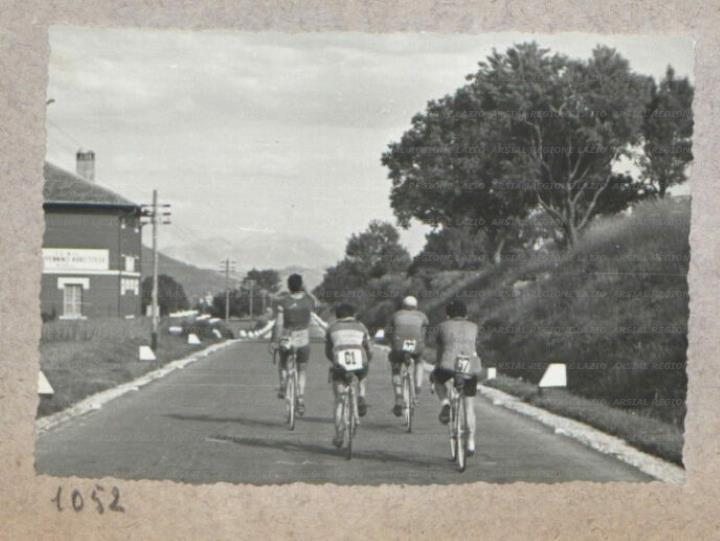 ARSIAL/ARS00175D79.jpg