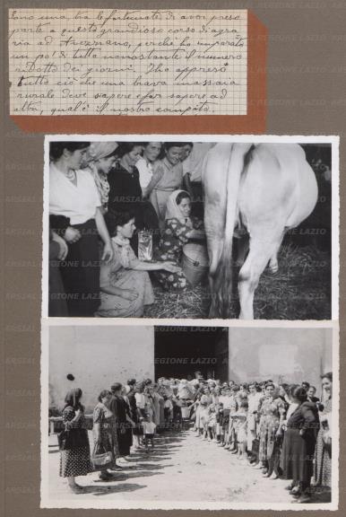 ARSIAL/ARS00175DB2.jpg