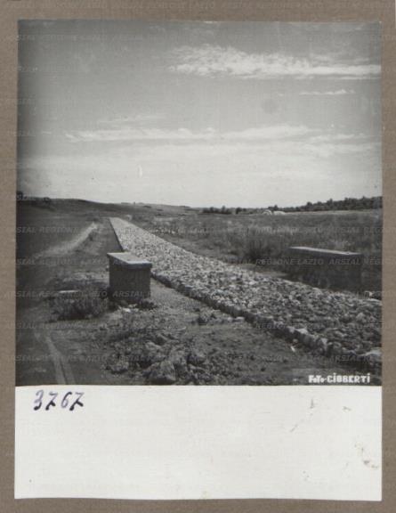 ARSIAL/ARS00175DBB.jpg