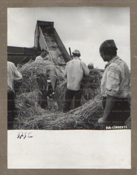 ARSIAL/ARS00175DE5.jpg