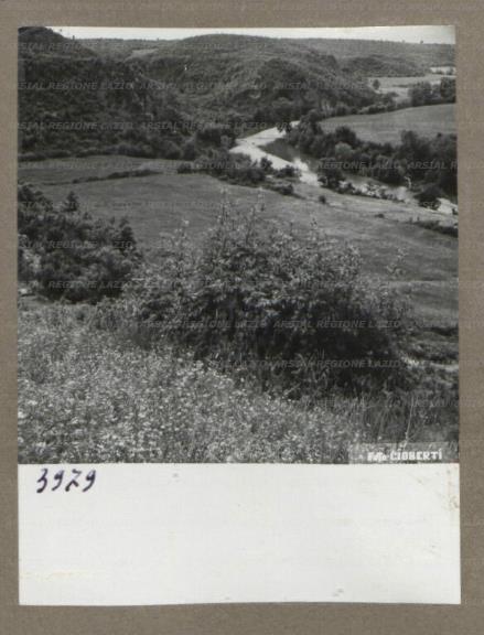 ARSIAL/ARS00175DF8.jpg