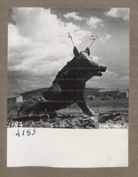 ARSIAL/ARS00175E00.jpg