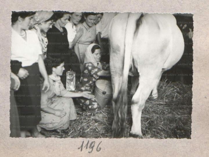 ARSIAL/ARS00175E44.jpg