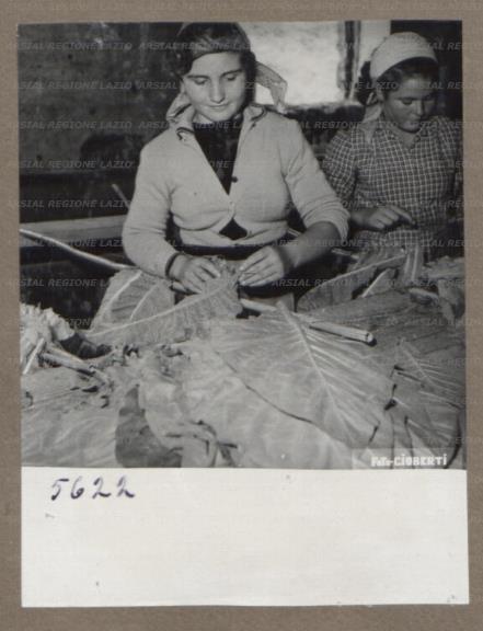 ARSIAL/ARS00175EAA.jpg