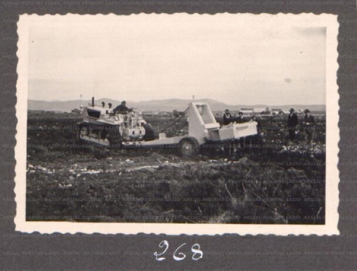 ARSIAL/ARS00175F01.jpg