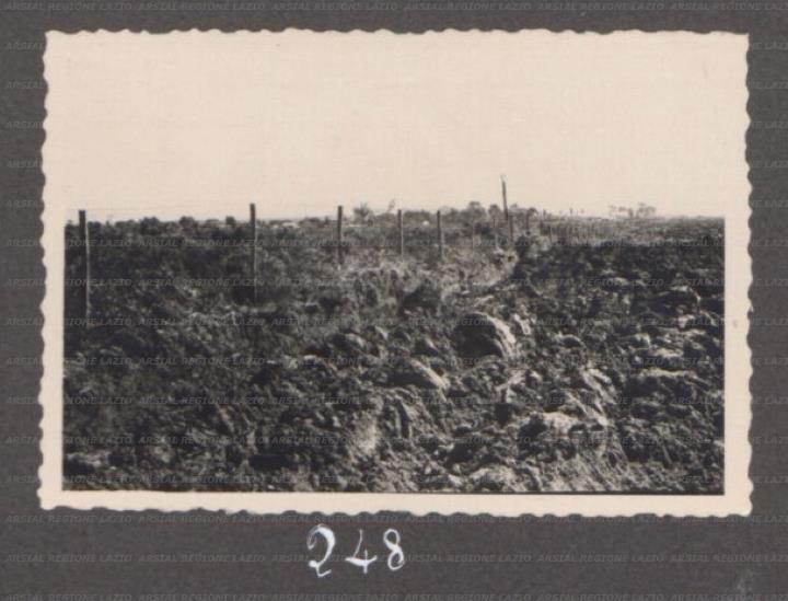 ARSIAL/ARS00175F02.jpg