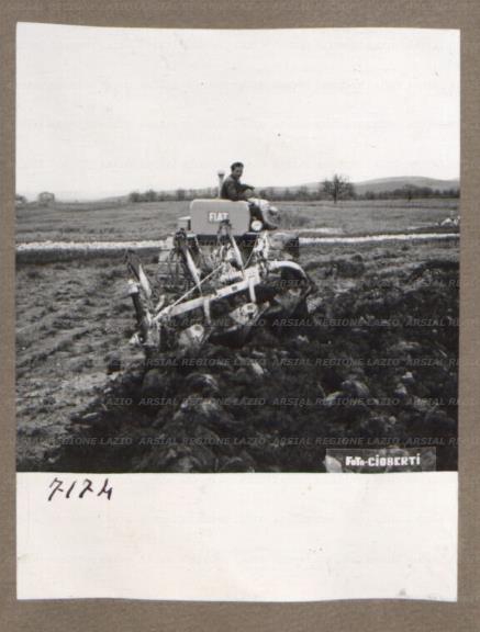 ARSIAL/ARS00175F05.jpg