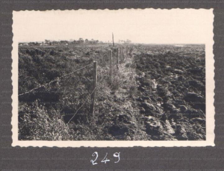 ARSIAL/ARS00175F0B.jpg