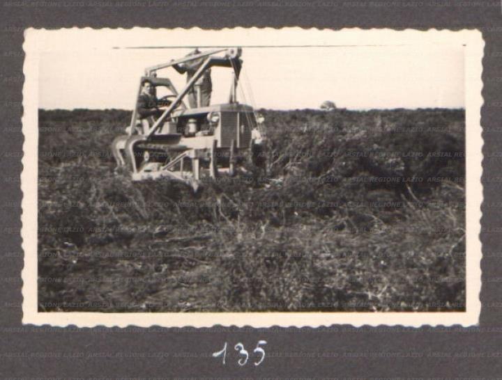 ARSIAL/ARS00175F20.jpg